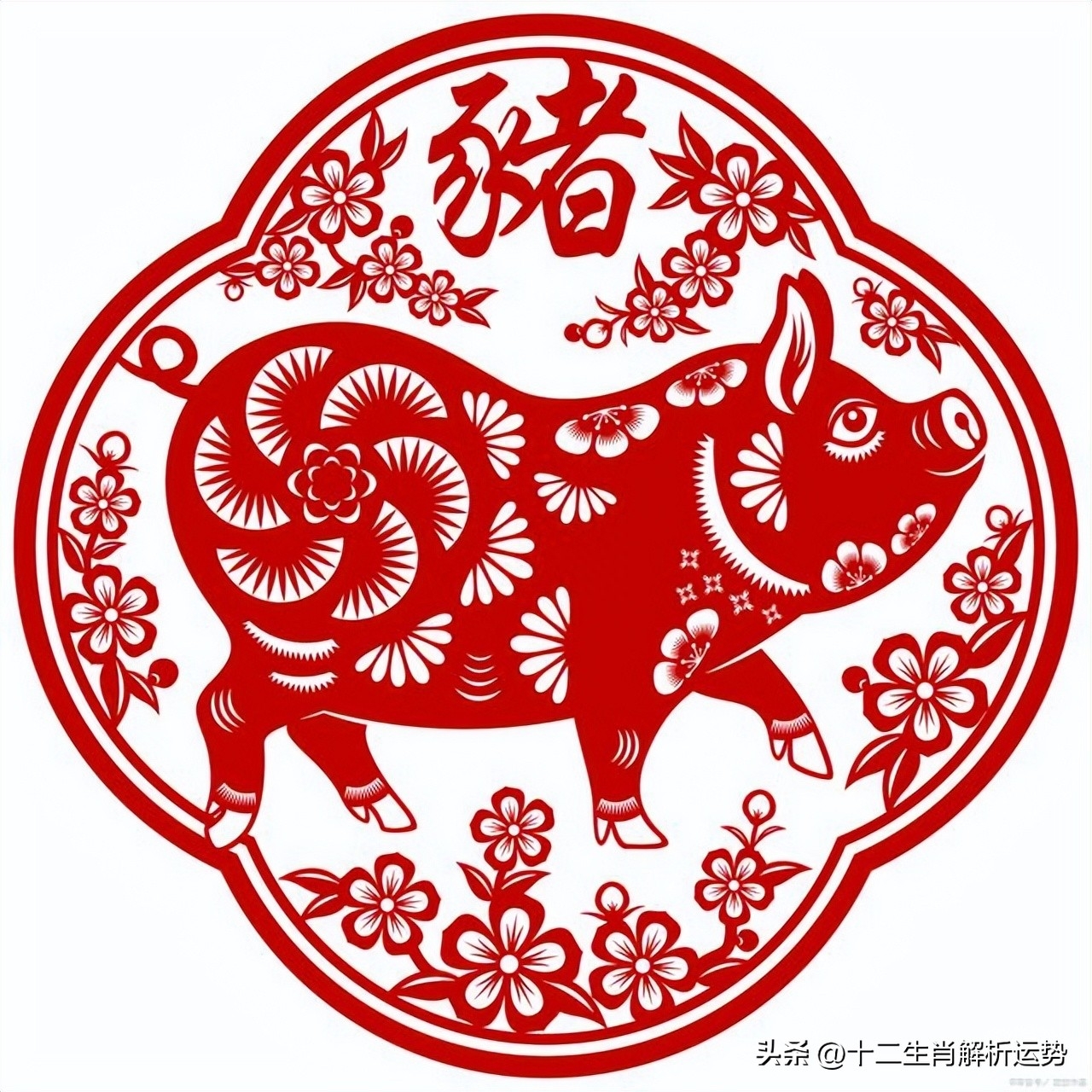 生肖豬：請珍惜3個人！1個陪你一輩子「1個令你逢凶化吉」1個助你錢財滾滾來