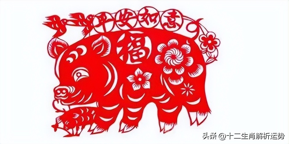 生肖豬：請珍惜3個人！1個陪你一輩子「1個令你逢凶化吉」1個助你錢財滾滾來