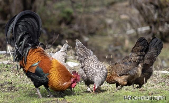到女兒家幫帶孫！一週後「女婿弄丟10萬塊」女兒竟盤問我　外孫也幫我說話「下秒我一個舉動」從此沒女兒