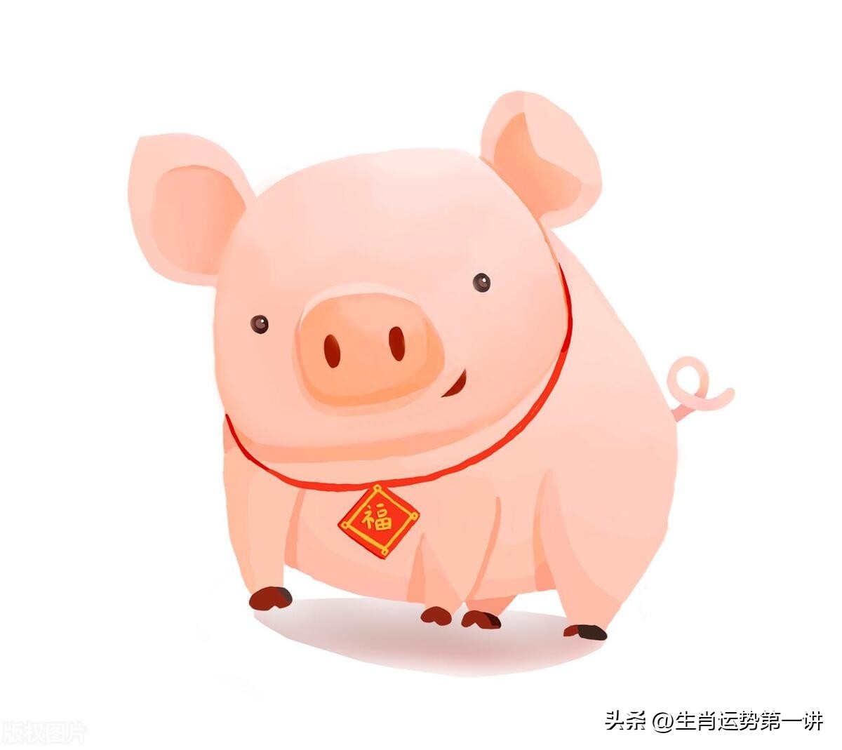 生肖豬：一生有「3大劫」！尤其出生在「這3個時辰」的人劫難最多