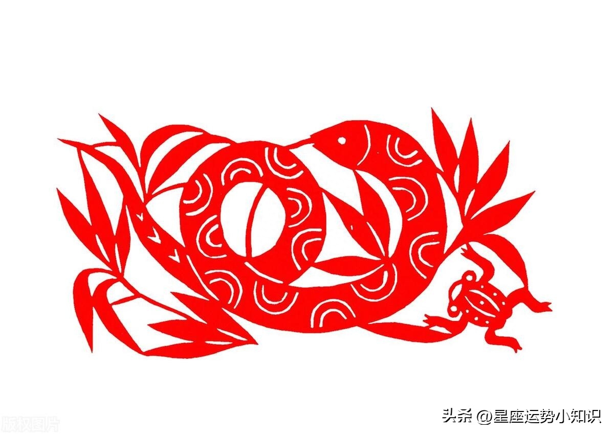 10蛇9富！這「3個月份」出生的蛇最有福氣　命裡「一生富貴」看看你家有嗎？
