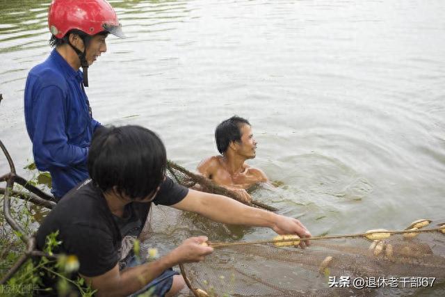 終生良心不安！兒時我和弟弟「做了1件虧心事」　為此「養了乾爹乾媽20年」仍沒勇氣說出真相