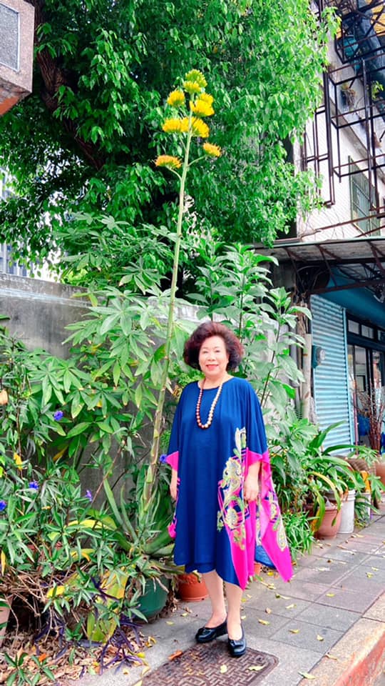 獨居台灣!78歲黃越綏「突宣布斷食善終」早已囑託好友 「胃痛切片化驗」好友得知結果哭了