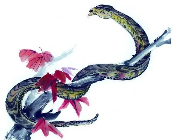 越善良越好運！心最好的「5大生肖」　不害人「一生無災難」