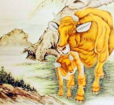 越善良越好運！心最好的「5大生肖」　不害人「一生無災難」