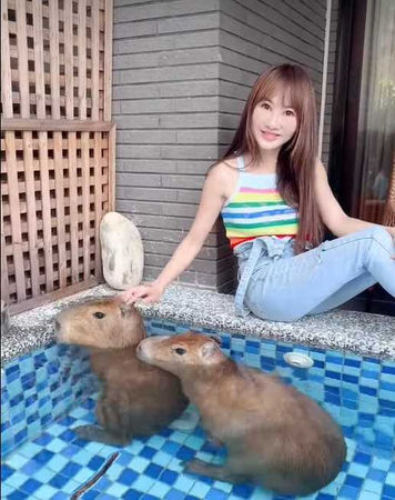 43歲女星宣布「將參選不分區立委」　砸5000萬建樂園「第一政見曝光」