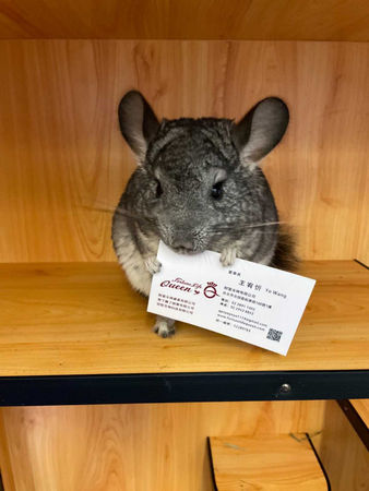 43歲女星宣布「將參選不分區立委」　砸5000萬建樂園「第一政見曝光」