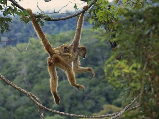 你「農曆幾月出生」就是什麼動物！太準了「快看你是哪種」？