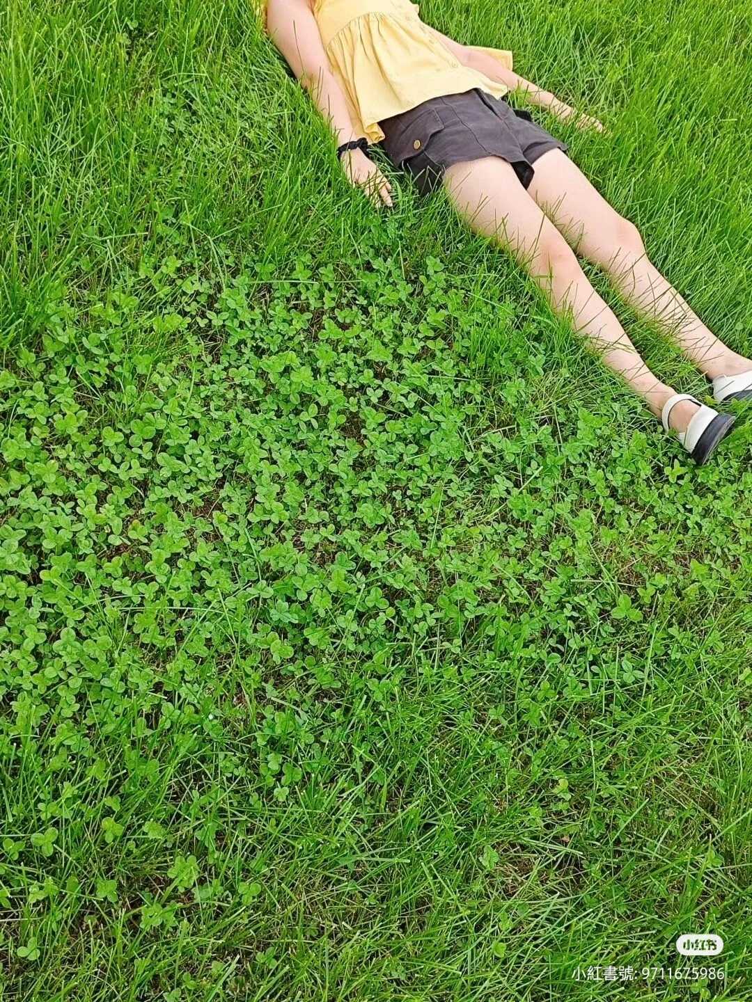 請男友幫忙拍照！竟拍出「靈魂出竅的瞬間」當場傻眼　她無奈曬「自己真實面貌」大翻白眼