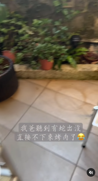 中秋正要烤肉！余天家「院子遭天敵闖入」嚇到躲樓上　「猛竄驚險畫面」曝光：好險沒殺了