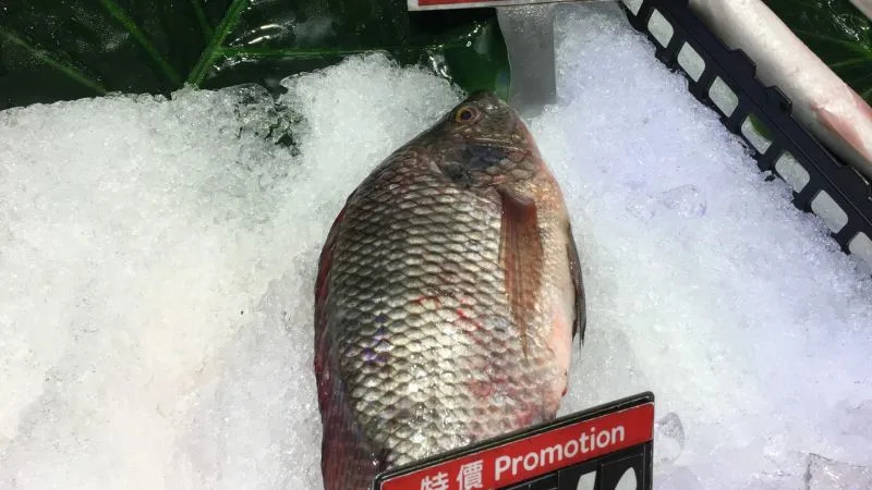 他買80元便當「三配菜+一條魚」直呼超划算！網友卻皺眉「完全不敢吃」專家出面解釋了