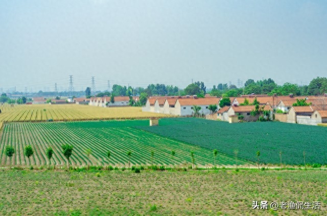 8年沒見面說話！父親和大伯「爭奪建房土地」　大伯要了好地「如今我家拆遷」他想換回去