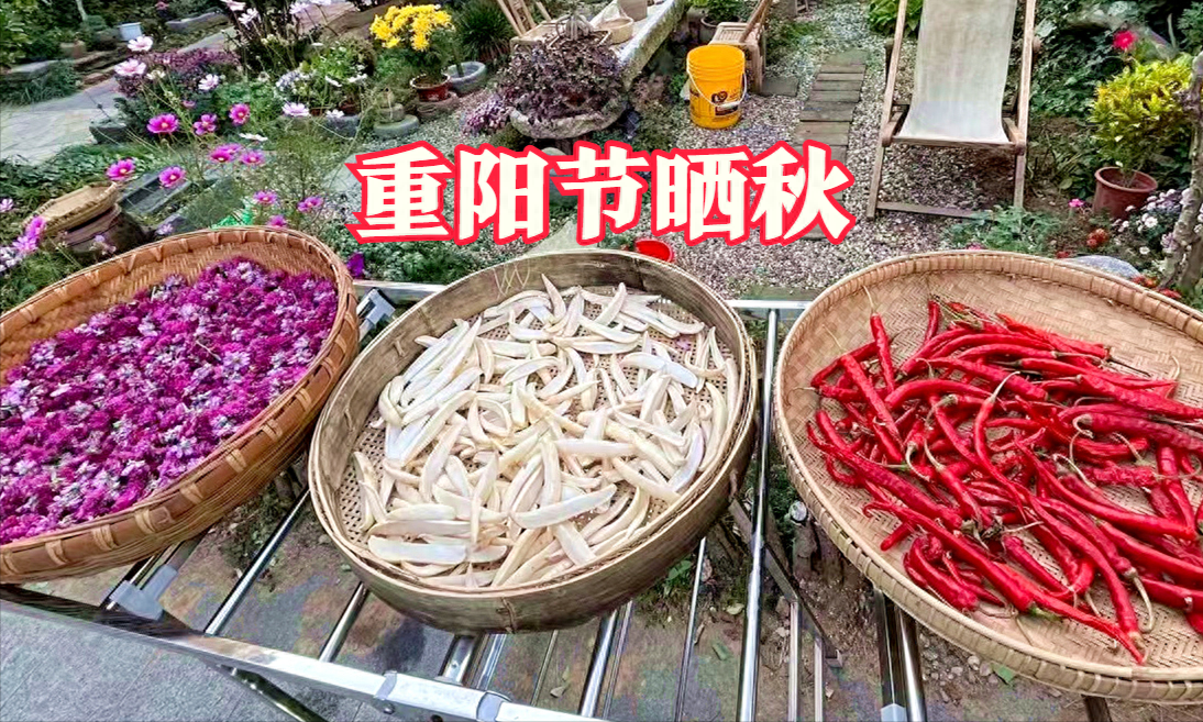 不只是登高！重陽節必知「3吃3做3忌諱」　為全家祈福、生活更順遂