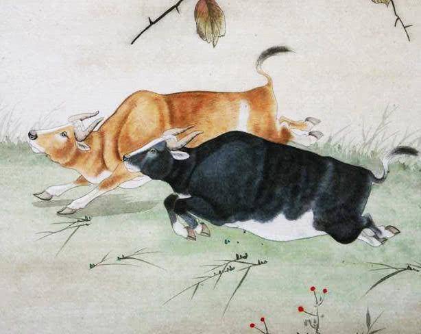 小心被算計!「最虛偽」的3大生肖 人前人後兩幅面孔「做事不留情」不可深交