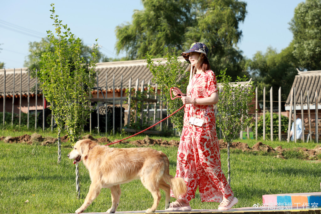 不靠醫美凍齡！56歲周海媚「頂逆齡妹妹頭」遭酸：女神崩壞　她親曬「皺紋雙下巴近照」：做個優雅老太婆