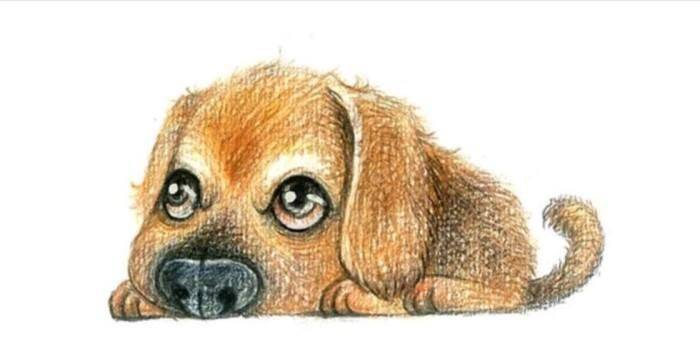 準備翻身！去年賠錢不斷、遇小人「今年蓄勢待發」5生肖：馬年10倍賺回來