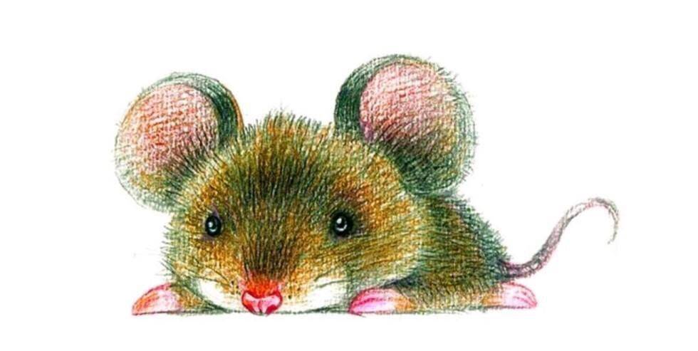 準備翻身！去年賠錢不斷、遇小人「今年蓄勢待發」5生肖：馬年10倍賺回來