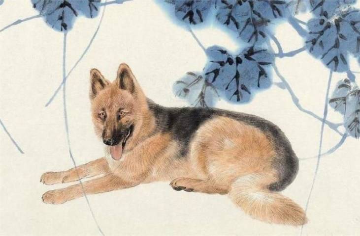 屬狗、屬蛇、屬虎、屬羊！和「財神最有緣」的出生年份：旺夫旺財旺全家