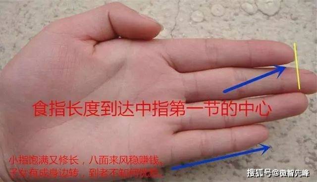 第5根手指看命運！你的小指暗示「晚年運勢吉凶」和子女能力大小：一起來看看？ 