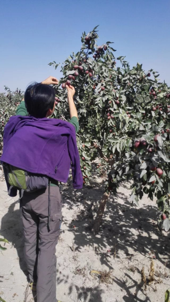 老伴不願意旅行！56歲退休阿姨「與旅伴相約自由行」半途卻被放鴿子　流浪35天「回來後整個人都變了」