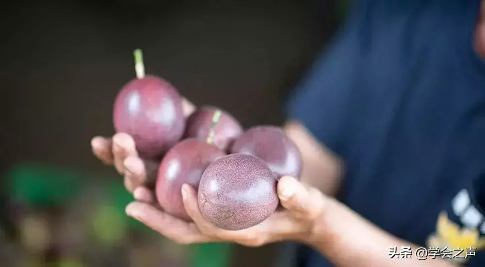 你還在吃「百香果」？趕緊看，別怪我沒提醒你：早清楚早好
