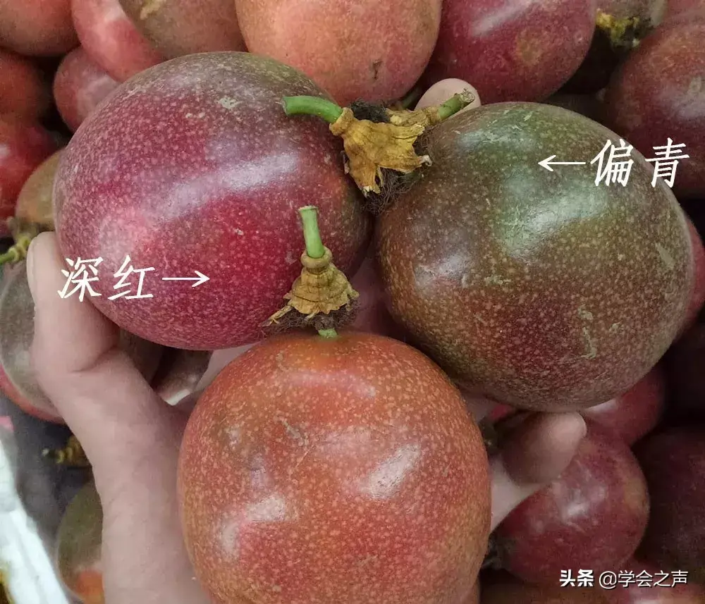 你還在吃「百香果」？趕緊看，別怪我沒提醒你：早清楚早好