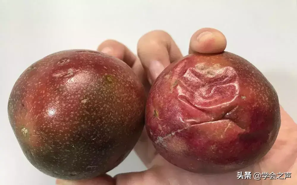 你還在吃「百香果」？趕緊看，別怪我沒提醒你：早清楚早好