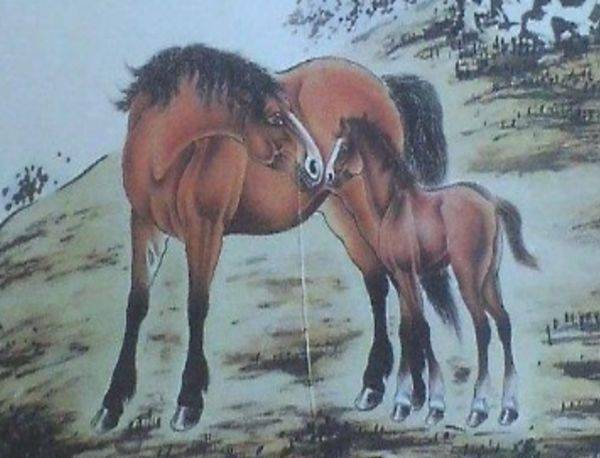 易招蜂引蝶!「一輩子不缺女人」的4大生肖男 桃花運不斷「越老越有魅力」