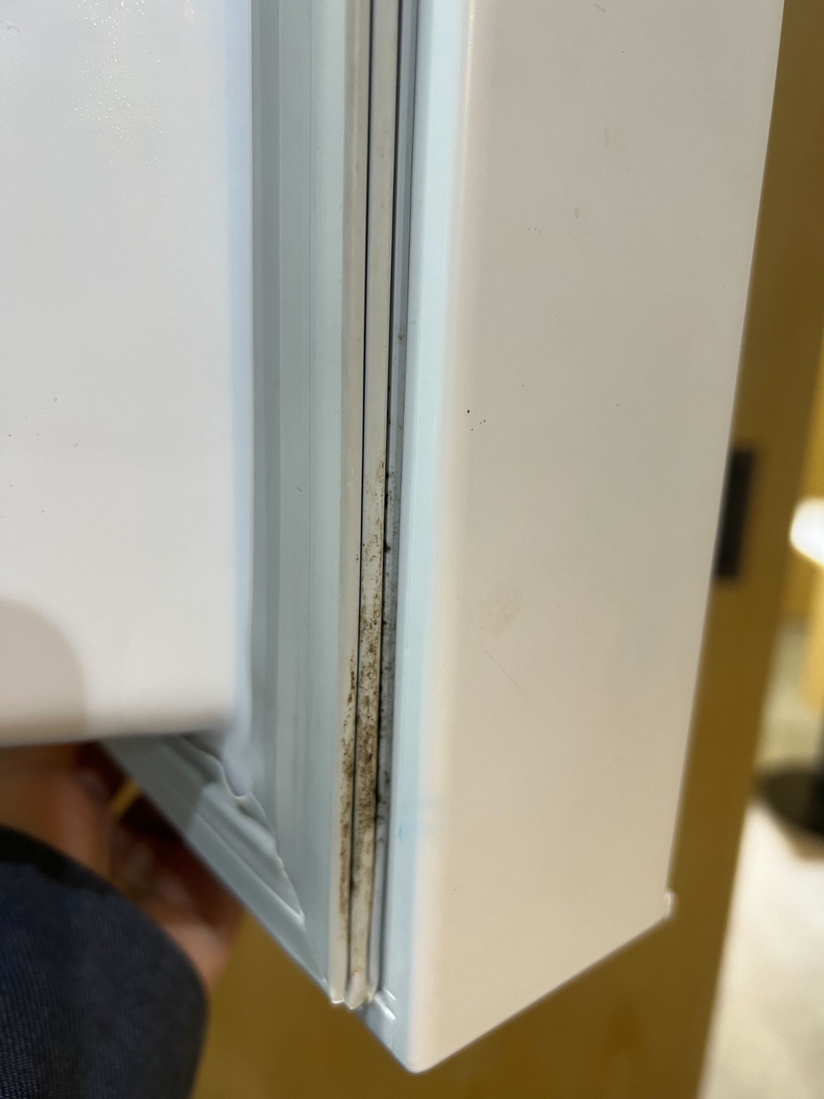 要及時清潔！不管冰箱膠條「多髒多黑」　教你學一招「不用一滴水」幾分鐘就恢復如新　