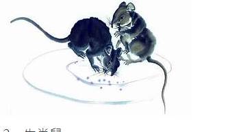 福從天降!未來10年「好運纏身」的5大生肖 發家致富即來臨:尤其是「它」