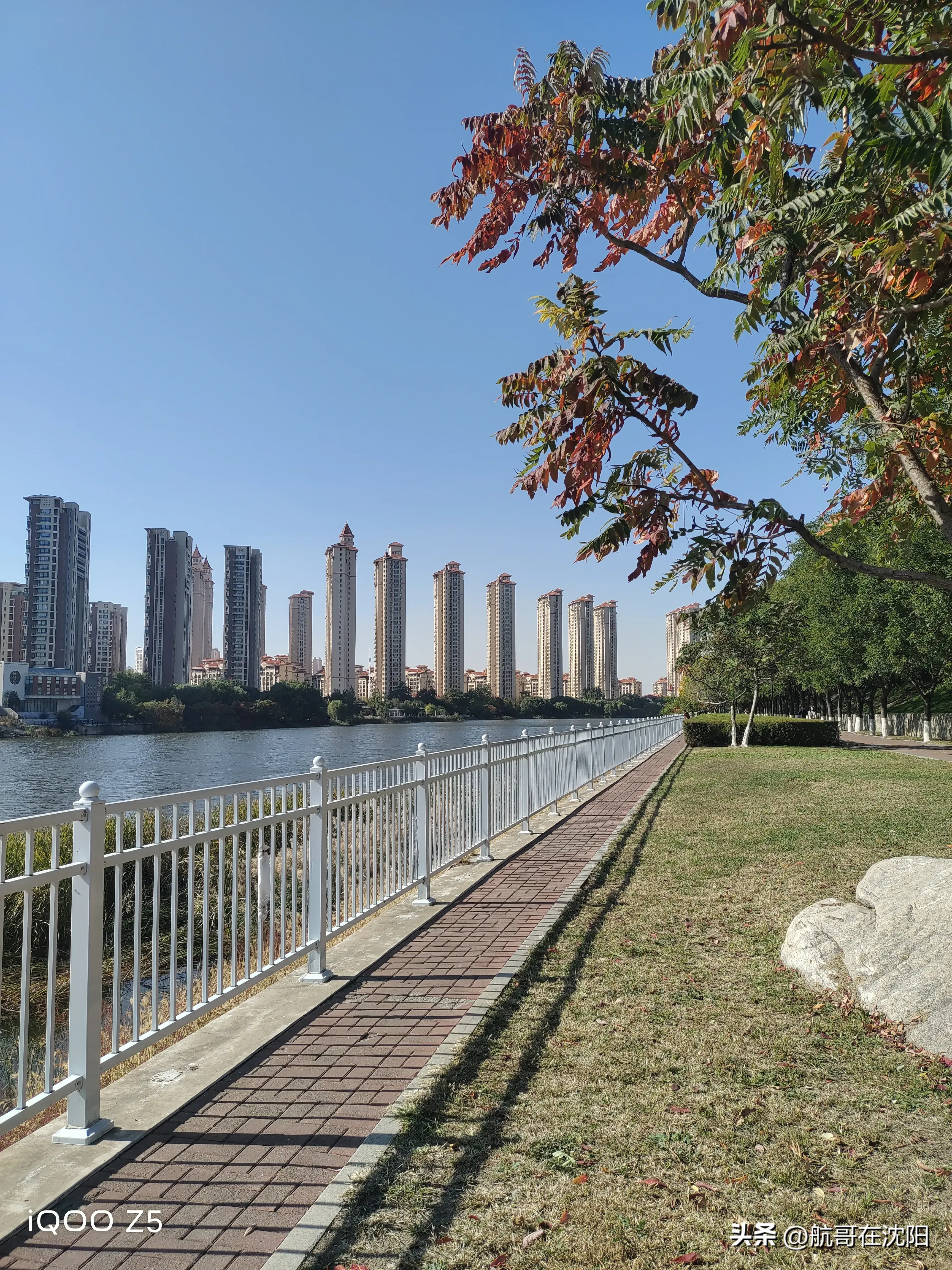 辭職回鄉照顧婆婆4年！臨終前只分給我一盆花　一個月後「清理花盆」我跪地痛哭