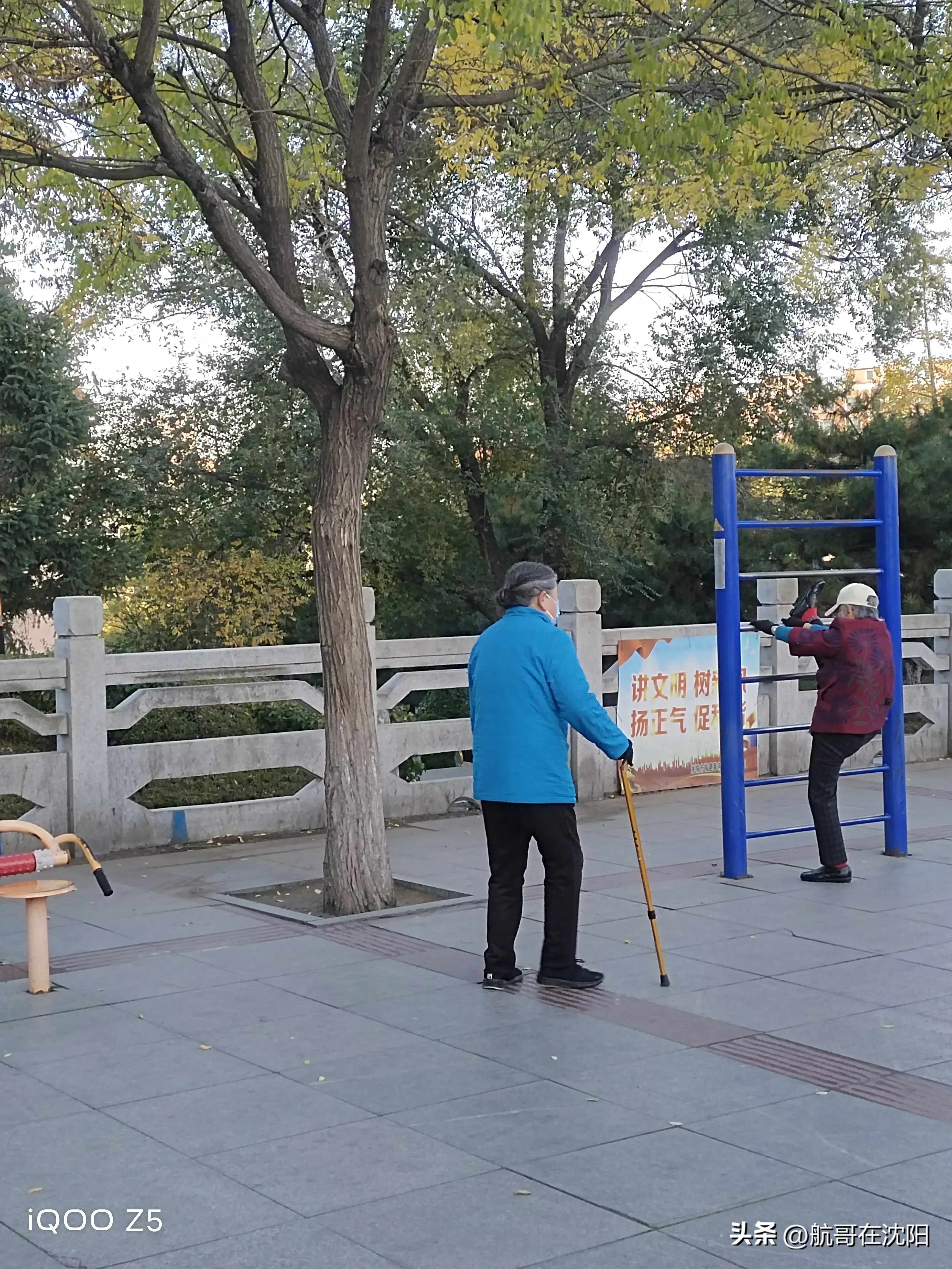 辭職回鄉照顧婆婆4年！臨終前只分給我一盆花　一個月後「清理花盆」我跪地痛哭