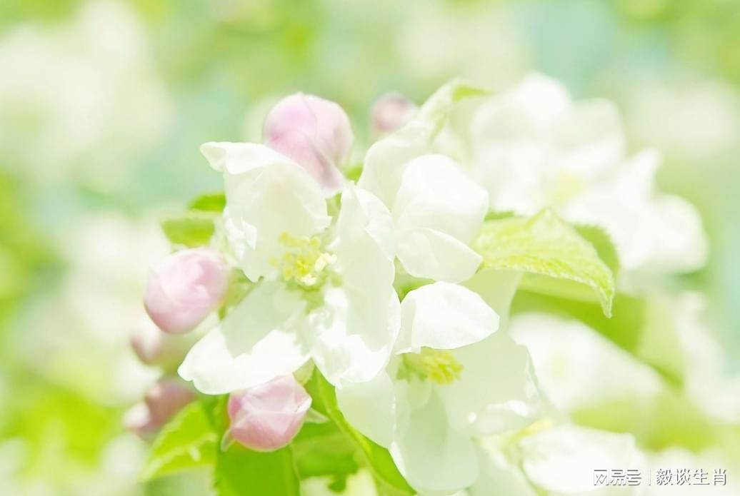 恭喜了6大生肖！未來一周（11/30-12/6）偏財運最旺　買彩卷可能「中頭獎」