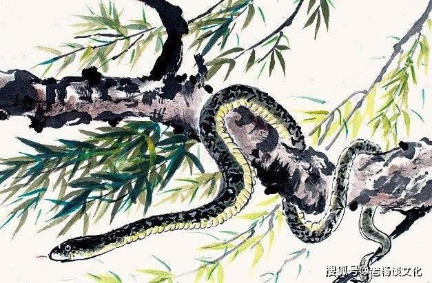 這6個生肖!11月一身是債「12月滿身是財」想不發財都難