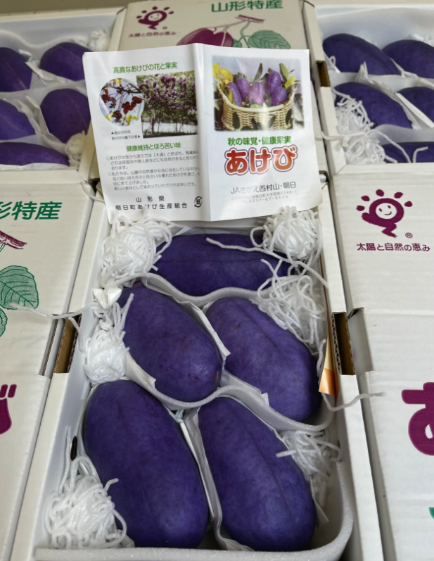 這是什麼水果！超神秘「鮮豔紫色果實」顏色超亮麗　切開後「宛如軟Q果凍」還有神奇療效