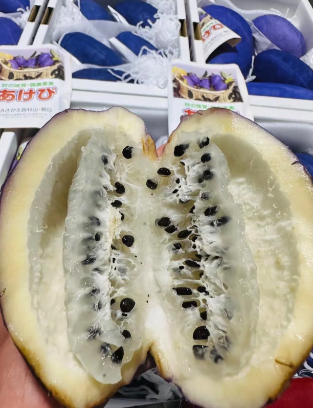 這是什麼水果！超神秘「鮮豔紫色果實」顏色超亮麗　切開後「宛如軟Q果凍」還有神奇療效