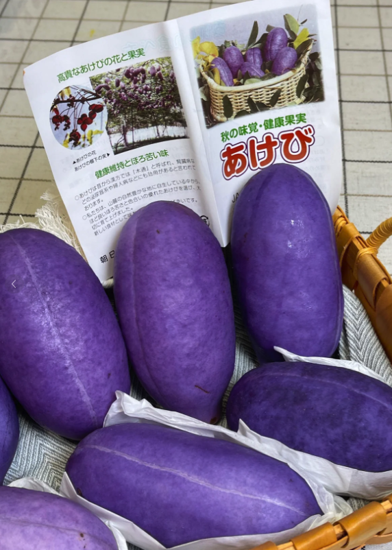 這是什麼水果！超神秘「鮮豔紫色果實」顏色超亮麗　切開後「宛如軟Q果凍」還有神奇療效