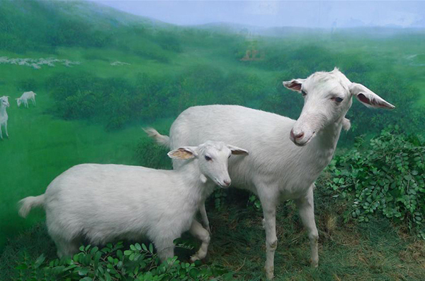 12月7日大雪！命理師賀：「7生肖最強運」正偏財一把抓　第1名「事業、財富」如有神助