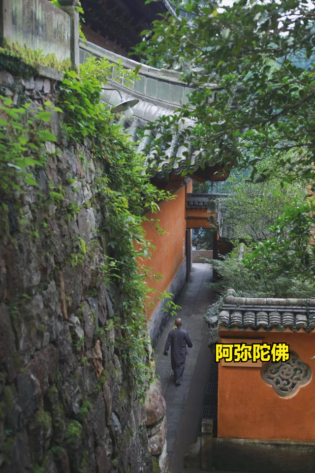 虔誠拜佛50年！好心幫住持「出錢又出力」　接連「換了三個寺廟後」領悟：再也不願給寺廟捐錢了