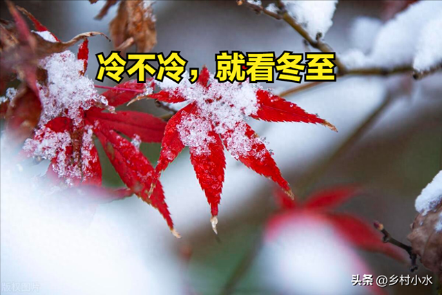 過年「冷不冷」就看冬至!出大晴天「恐怕明年倒春寒」不好過 若刮西北風「大家心裡要有數了」