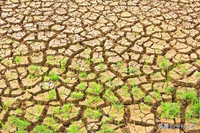 過年「冷不冷」就看冬至!出大晴天「恐怕明年倒春寒」不好過 若刮西北風「大家心裡要有數了」