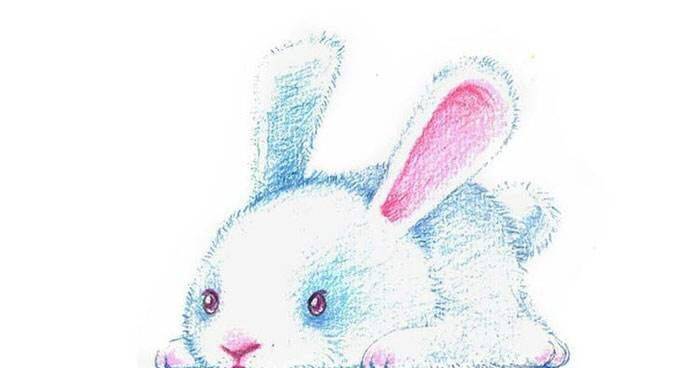 鈔票如雨下!【冬至節】以下生肖財運最旺 第1名「錢自動上門」