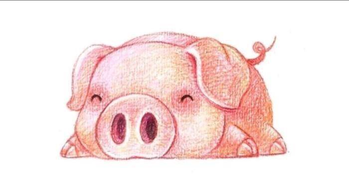 鈔票如雨下!【冬至節】以下生肖財運最旺 第1名「錢自動上門」