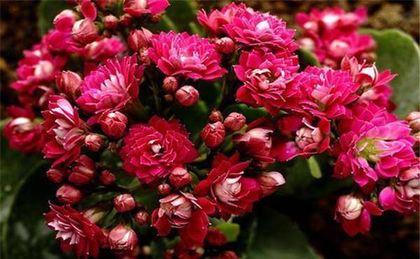 嫁對人了！3星座男「對家庭責任感滿滿」且前途無量　看似霸道「但對老婆超呵護」：想給她最好❤️