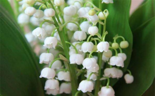 嫁對人了！3星座男「對家庭責任感滿滿」且前途無量　看似霸道「但對老婆超呵護」：想給她最好❤️