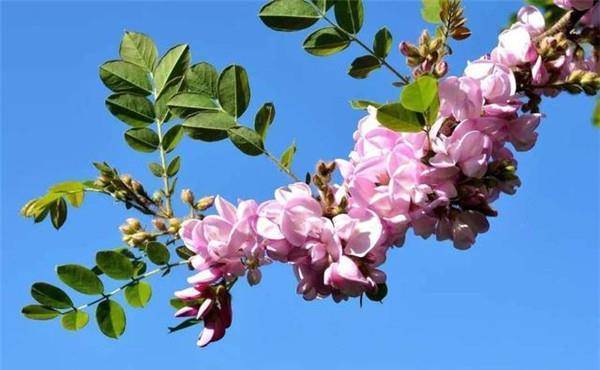 嫁對人了！3星座男「對家庭責任感滿滿」且前途無量　看似霸道「但對老婆超呵護」：想給她最好❤️