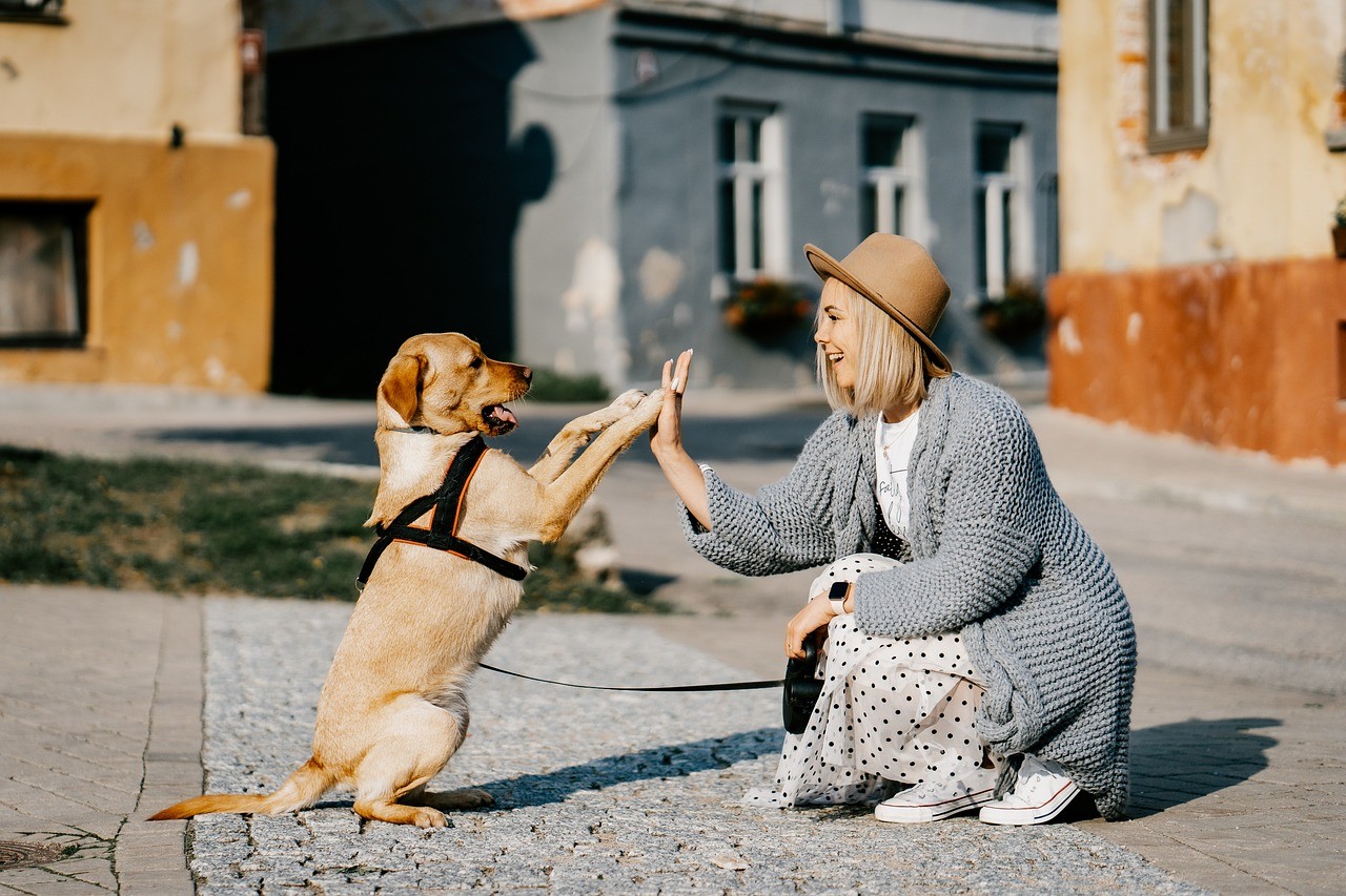 愛犬腎衰竭「被診斷只剩幾週可活」！飼主心痛滿足心願「讓牠想吃炸雞就吃」奇蹟竟然發生了！