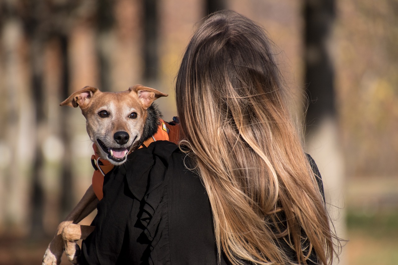 愛犬腎衰竭「被診斷只剩幾週可活」！飼主心痛滿足心願「讓牠想吃炸雞就吃」奇蹟竟然發生了！