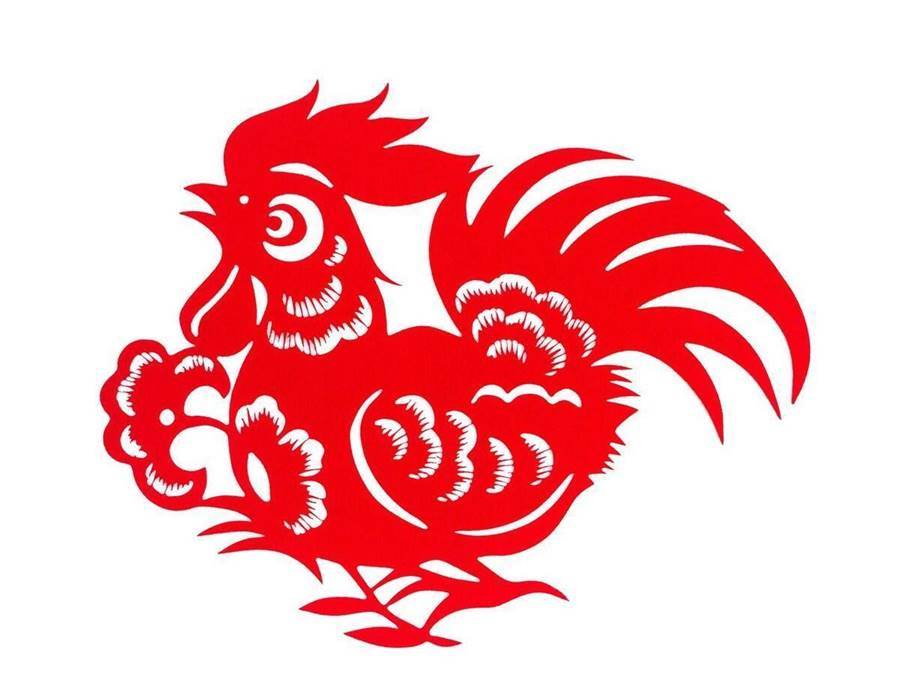 十雞九順！陽歷「這個月出生的雞人」先苦後甜　註定享受輝煌人生