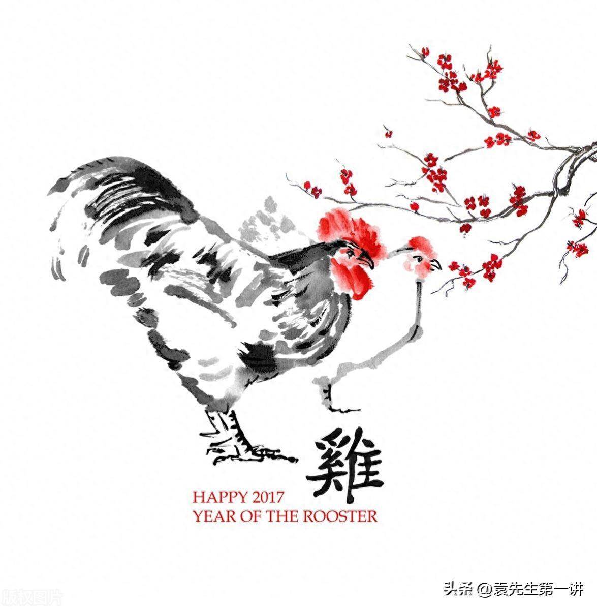 十雞九順！陽歷「這個月出生的雞人」先苦後甜　註定享受輝煌人生